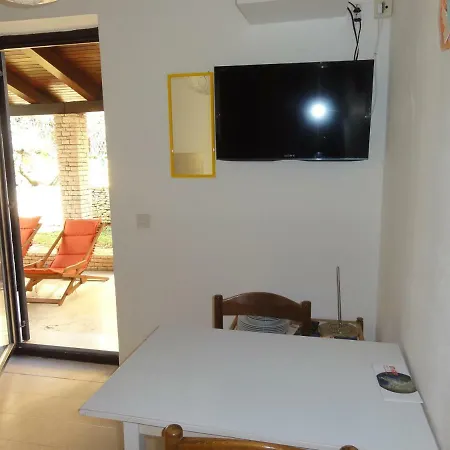 And Cozy Ferry In Apartment